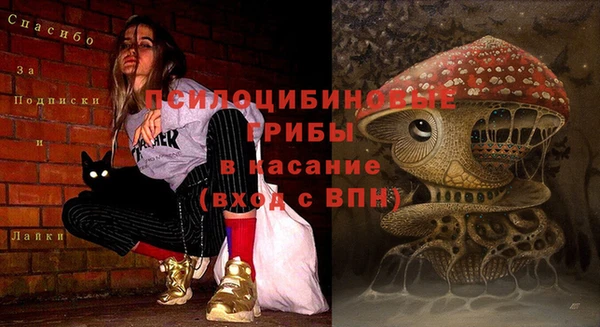 шишки Алексеевка