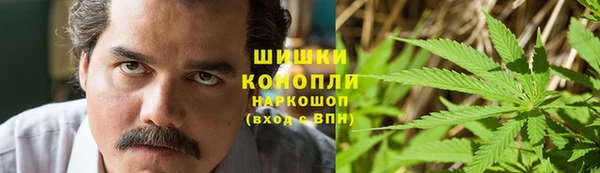 бошки Пересвет