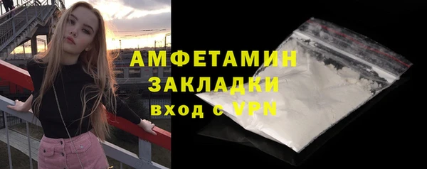 прущие грибы Пестово