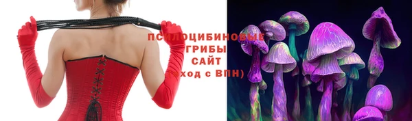 прущие грибы Пестово