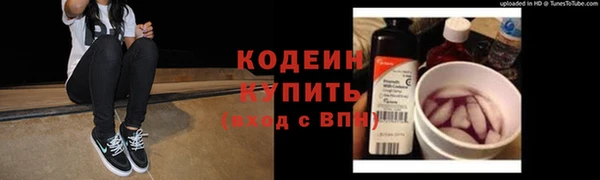 бошки Пересвет