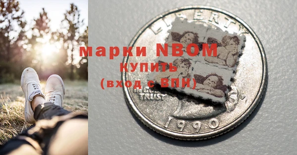 бошки Пересвет