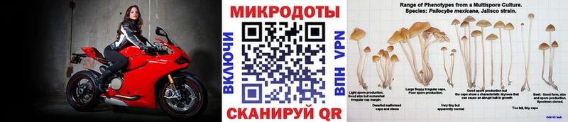 shop состав  Спасск-Рязанский  OMG рабочий сайт  Галлюциногенные грибы мухоморы  закладки 